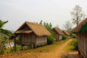 Elephant Conservation Center Laos