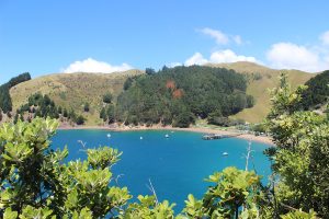 Marlborough-sounds