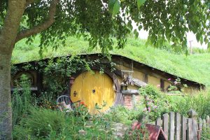 hobbiton-neuseeland