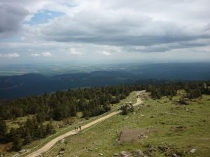 Harz